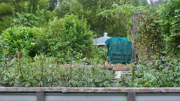 Quels sont les avantages de la permaculture pour un petit jardin urbain ?